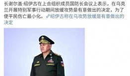 国防部爆料视频,震撼爆料视频深度解析