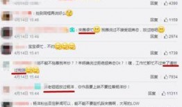 侦探爆料缅甸视频播放网站,侦探爆料背后的真相